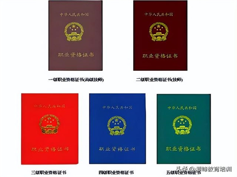 机构介绍